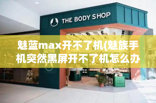 魅蓝max开不了机(魅族手机突然黑屏开不了机怎么办)-第1张图片-星选测评
