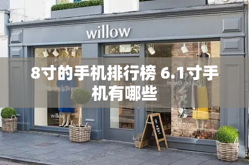 8寸的手机排行榜 6.1寸手机有哪些