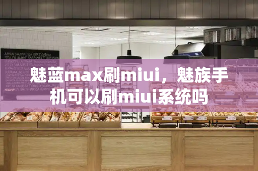 魅蓝max刷miui，魅族手机可以刷miui系统吗-第1张图片-星选测评
