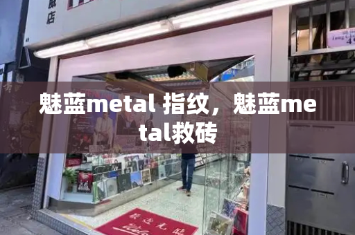 魅蓝metal 指纹，魅蓝metal救砖-第1张图片-星选测评
