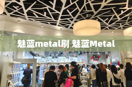 魅蓝metal刷 魅蓝Metal-第1张图片-星选测评