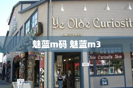 魅蓝m码 魅蓝m3-第1张图片-星选测评