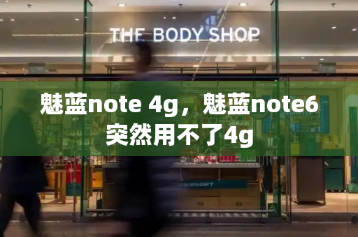 魅蓝note 4g，魅蓝note6突然用不了4g