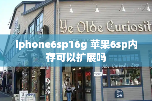 iphone6sp16g 苹果6sp内存可以扩展吗-第1张图片-星选测评