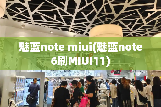 魅蓝note miui(魅蓝note6刷MIUI11)