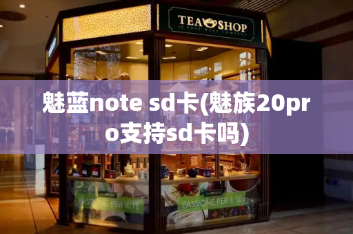 魅蓝note sd卡(魅族20pro支持sd卡吗)-第1张图片-星选测评