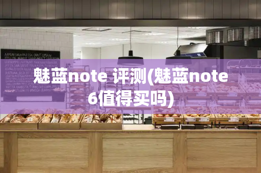 魅蓝note 评测(魅蓝note6值得买吗)