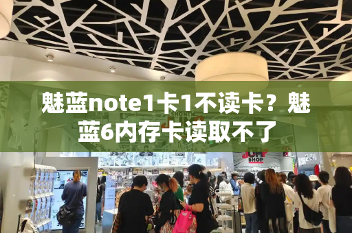 魅蓝note1卡1不读卡？魅蓝6内存卡读取不了-第1张图片-星选测评
