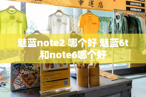 魅蓝note2 哪个好 魅蓝6t和note6哪个好-第1张图片-星选测评