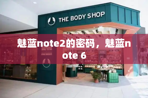 魅蓝note2的密码，魅蓝note 6-第1张图片-星选测评