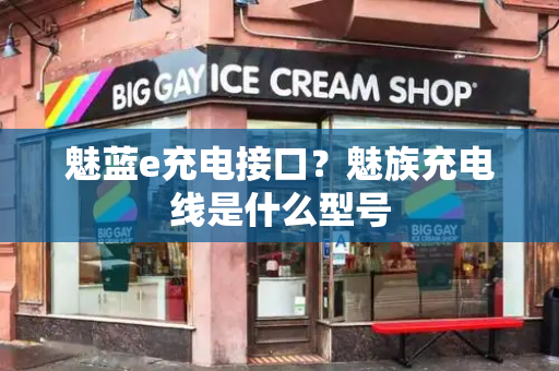 魅蓝e充电接口？魅族充电线是什么型号