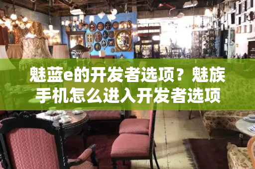 魅蓝e的开发者选项？魅族手机怎么进入开发者选项