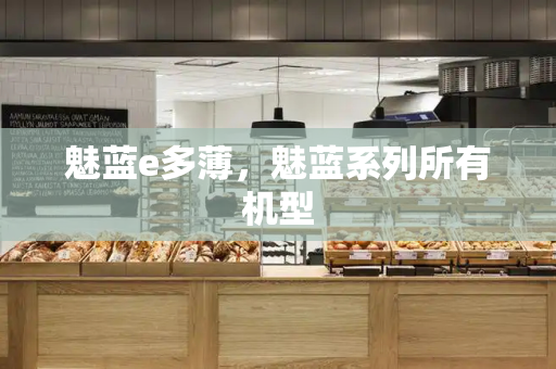 魅蓝e多薄，魅蓝系列所有机型
