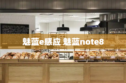魅蓝e感应 魅蓝note8