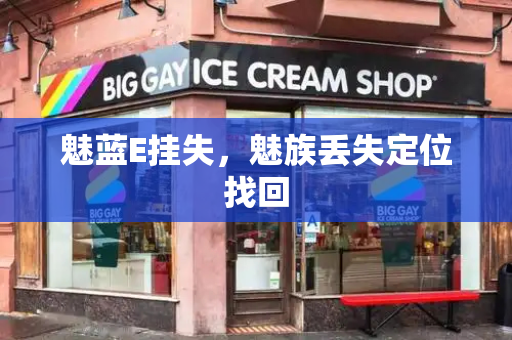 魅蓝E挂失，魅族丢失定位找回-第1张图片-星选测评