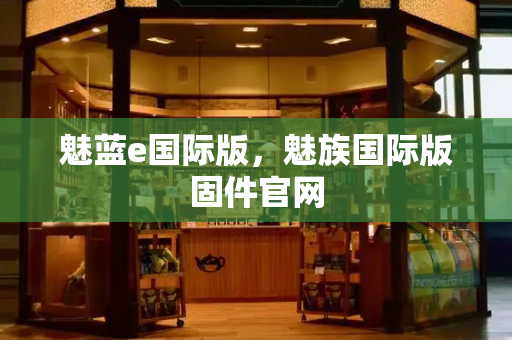 魅蓝e国际版，魅族国际版固件官网