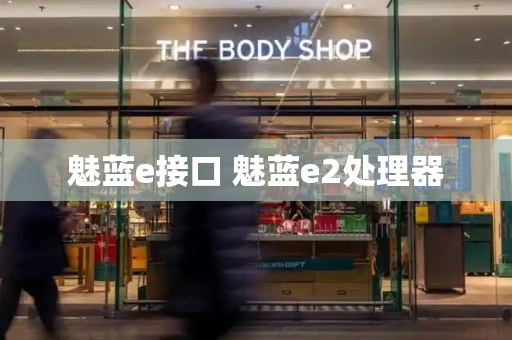 魅蓝e接口 魅蓝e2处理器