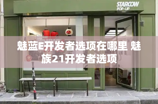 魅蓝E开发者选项在哪里 魅族21开发者选项