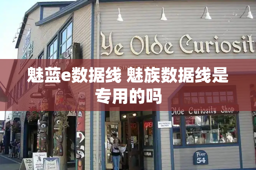 魅蓝e数据线 魅族数据线是专用的吗