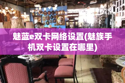 魅蓝e双卡网络设置(魅族手机双卡设置在哪里)