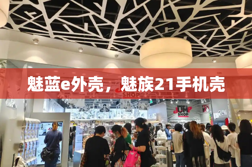 魅蓝e外壳，魅族21手机壳-第1张图片-星选测评