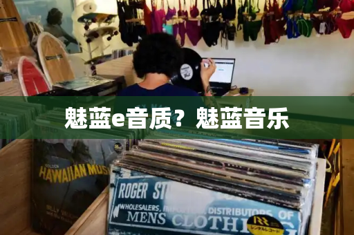 魅蓝e音质？魅蓝音乐-第1张图片-星选测评