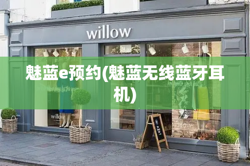 魅蓝e预约(魅蓝无线蓝牙耳机)