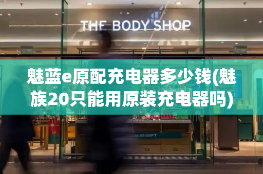 魅蓝e原配充电器多少钱(魅族20只能用原装充电器吗)