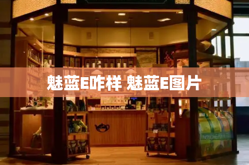 魅蓝E咋样 魅蓝E图片