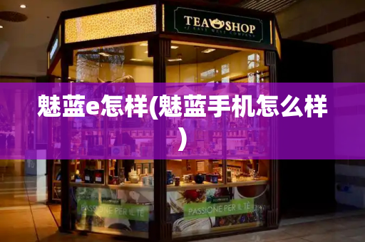 魅蓝e怎样(魅蓝手机怎么样)-第1张图片-星选测评