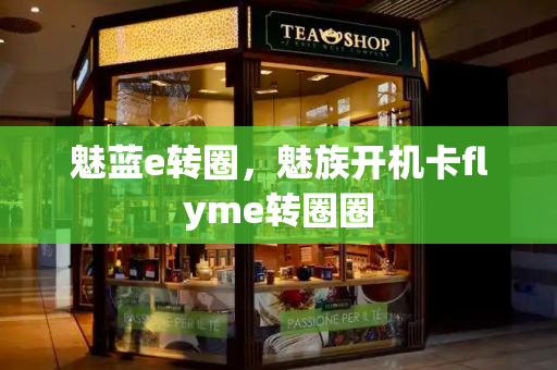 魅蓝e转圈，魅族开机卡flyme转圈圈-第1张图片-星选测评