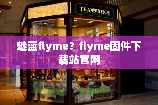 魅蓝flyme？flyme固件下载站官网
