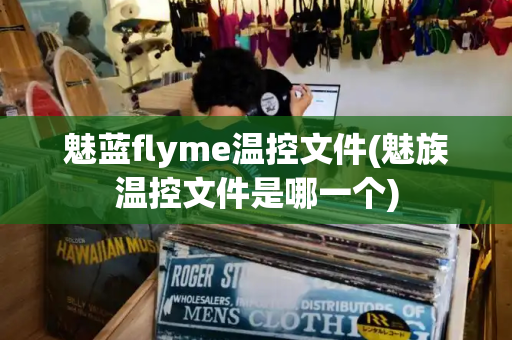魅蓝flyme温控文件(魅族温控文件是哪一个)