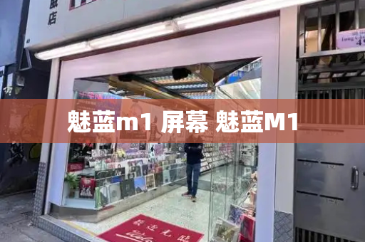 魅蓝m1 屏幕 魅蓝M1-第1张图片-星选测评