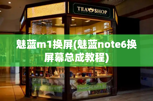 魅蓝m1换屏(魅蓝note6换屏幕总成教程)-第1张图片-星选测评
