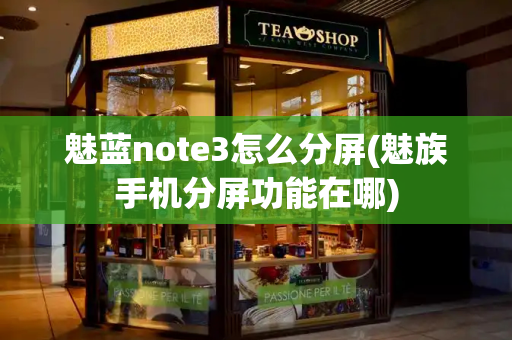 魅蓝note3怎么分屏(魅族手机分屏功能在哪)