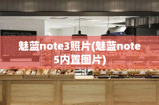 魅蓝note3照片(魅蓝note5内置图片)