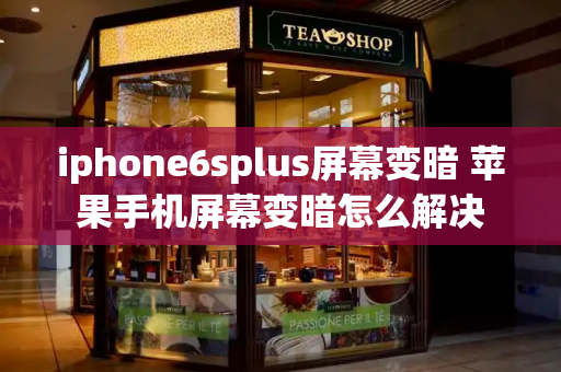 iphone6splus屏幕变暗 苹果手机屏幕变暗怎么解决