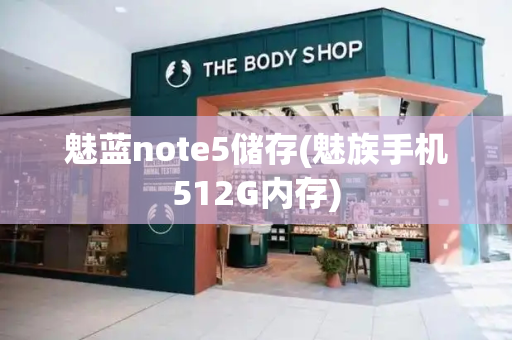 魅蓝note5储存(魅族手机512G内存)