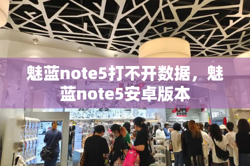 魅蓝note5打不开数据，魅蓝note5安卓版本