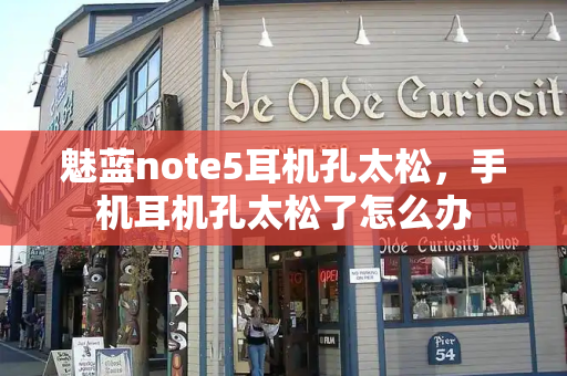 魅蓝note5耳机孔太松，手机耳机孔太松了怎么办-第1张图片-星选测评