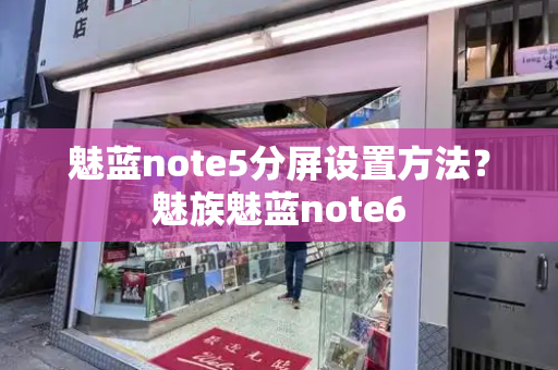魅蓝note5分屏设置方法？魅族魅蓝note6-第1张图片-星选测评
