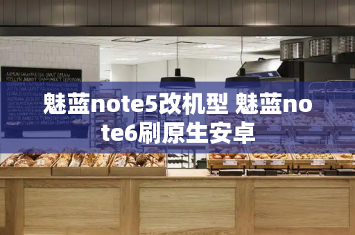 魅蓝note5改机型 魅蓝note6刷原生安卓