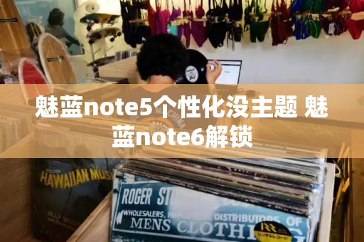 魅蓝note5个性化没主题 魅蓝note6解锁