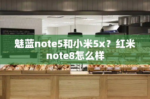 魅蓝note5和小米5x？红米note8怎么样-第1张图片-星选测评