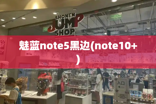 魅蓝note5黑边(note10+)