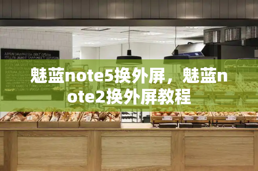 魅蓝note5换外屏，魅蓝note2换外屏教程-第1张图片-星选测评