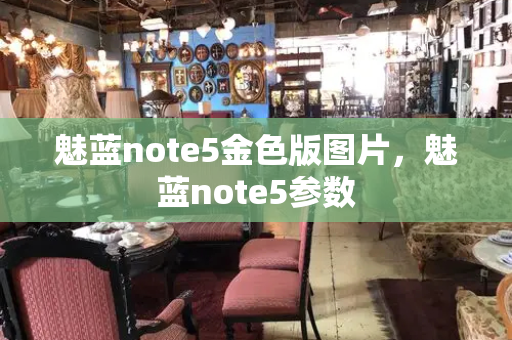魅蓝note5金色版图片，魅蓝note5参数-第1张图片-星选测评
