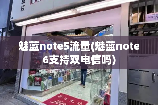 魅蓝note5流量(魅蓝note6支持双电信吗)