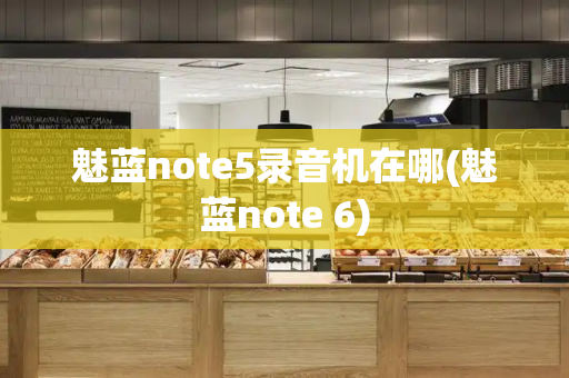 魅蓝note5录音机在哪(魅蓝note 6)-第1张图片-星选测评
